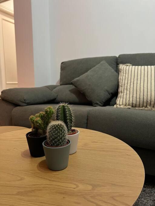 Top Duplex Centro "La Plazuela" ヘレス エクステリア 写真